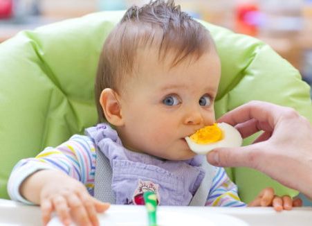 ALERGIA ALIMENTOS   E    IgE