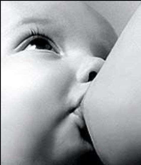 LA LECHE HUMANA (II)