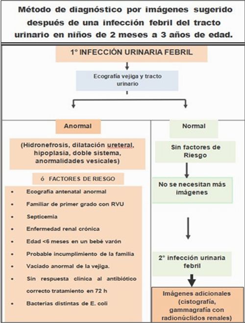 INFECCOIN URINARIA EN NIÑOS 2021