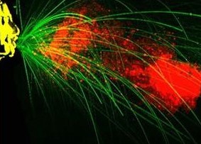 AEROSOLES – GOTITAS (DROPLETS) - VIRUS Y TRANSMISIÓN